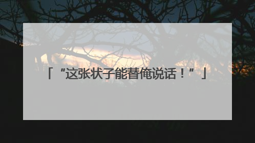 “这张状子能替俺说话！”