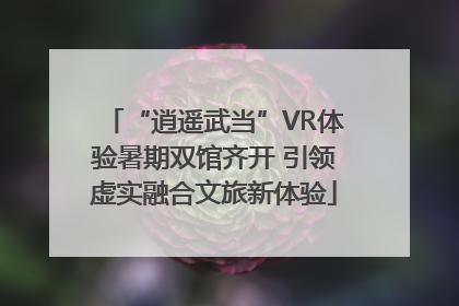 “逍遥武当”VR体验暑期双馆齐开 引领虚实融合文旅新体验