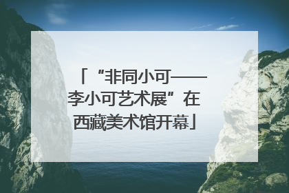“非同小可——李小可艺术展”在西藏美术馆开幕