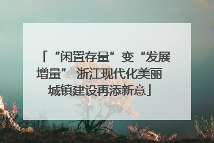 “闲置存量”变“发展增量” 浙江现代化美丽城镇建设再添新意