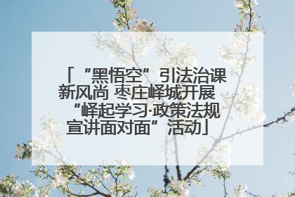 “黑悟空”引法治课新风尚 枣庄峄城开展“峄起学习·政策法规宣讲面对面”活动
