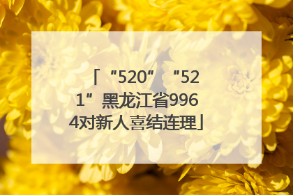 “520”“521”黑龙江省9964对新人喜结连理