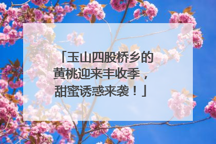 玉山四股桥乡的黄桃迎来丰收季，甜蜜诱惑来袭！