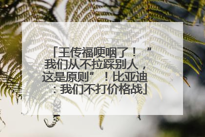王传福哽咽了！“我们从不拉踩别人，这是原则”！比亚迪：我们不打价格战