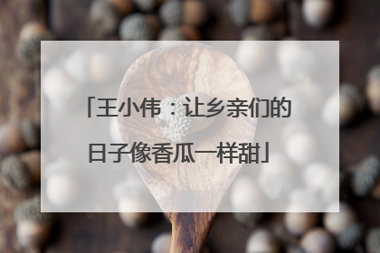 王小伟：让乡亲们的日子像香瓜一样甜