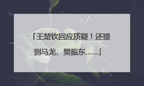 王楚钦回应质疑！还提到马龙、樊振东……