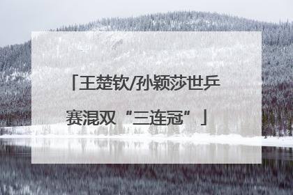 王楚钦/孙颖莎世乒赛混双“三连冠”