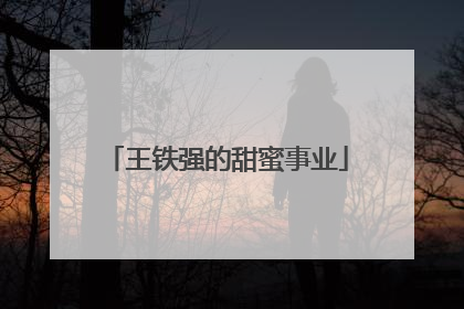 王铁强的甜蜜事业
