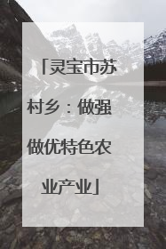 灵宝市苏村乡：做强做优特色农业产业