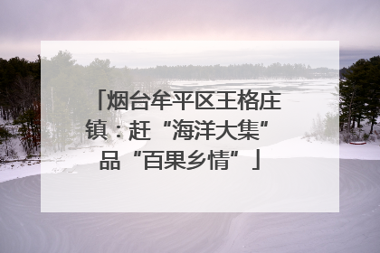 烟台牟平区王格庄镇：赶“海洋大集” 品“百果乡情”