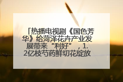 热播电视剧《国色芳华》给菏泽花卉产业发展带来“利好”，1.2亿枝芍药鲜切花绽放“国色芳华”