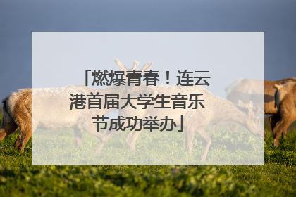 燃爆青春！连云港首届大学生音乐节成功举办