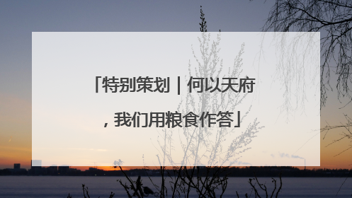 特别策划｜何以天府，我们用粮食作答