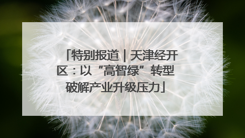 特别报道｜天津经开区：以“高智绿”转型破解产业升级压力