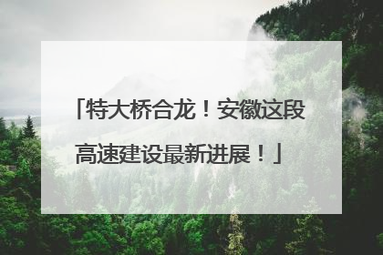 特大桥合龙！安徽这段高速建设最新进展！