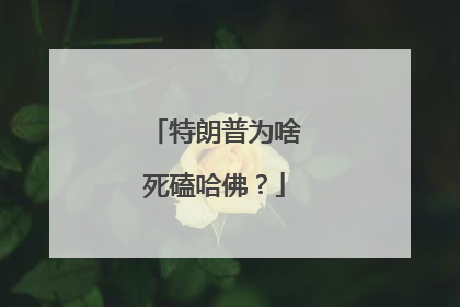 特朗普为啥死磕哈佛？
