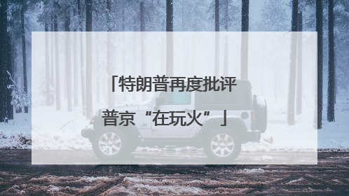 特朗普再度批评普京“在玩火”