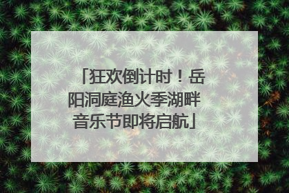 狂欢倒计时！岳阳洞庭渔火季湖畔音乐节即将启航