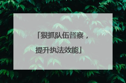 狠抓队伍督察，提升执法效能