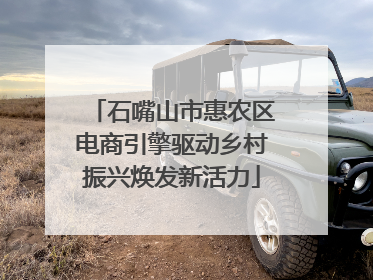 石嘴山市惠农区电商引擎驱动乡村振兴焕发新活力