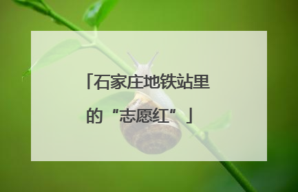 石家庄地铁站里的“志愿红”