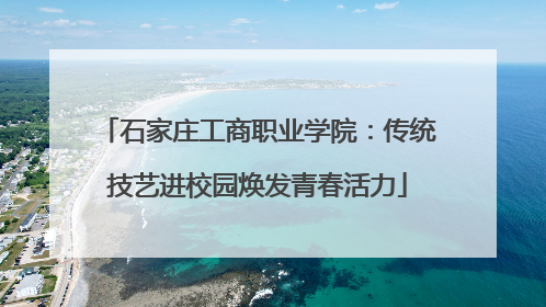 石家庄工商职业学院：传统技艺进校园焕发青春活力