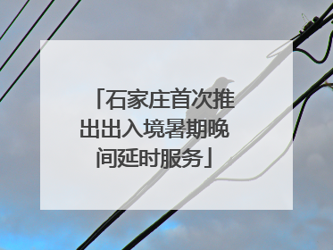 石家庄首次推出出入境暑期晚间延时服务