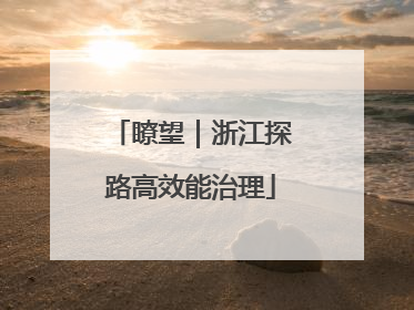 瞭望｜浙江探路高效能治理
