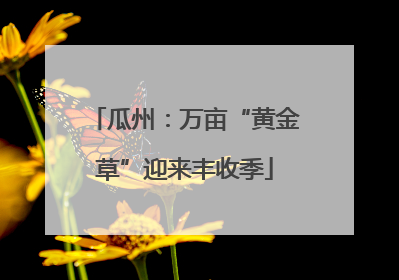 瓜州：万亩“黄金草”迎来丰收季