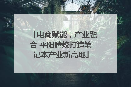 电商赋能，产业融合 平阳腾蛟打造笔记本产业新高地