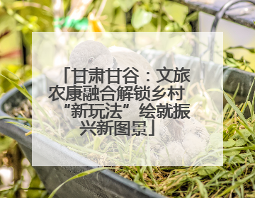 甘肃甘谷：文旅农康融合解锁乡村“新玩法”绘就振兴新图景