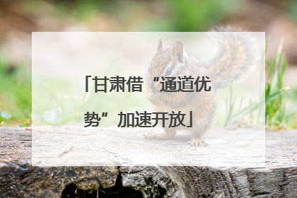 甘肃借“通道优势”加速开放