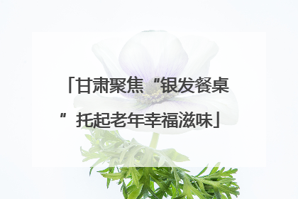 甘肃聚焦“银发餐桌”托起老年幸福滋味