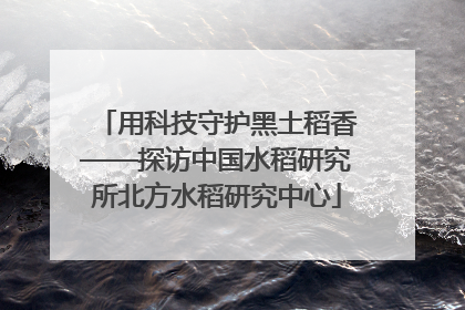 用科技守护黑土稻香——探访中国水稻研究所北方水稻研究中心