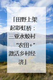 田野上架起彩虹桥：三亚水蛟村“农田+”激活乡村经济
