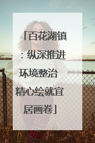 百花湖镇：纵深推进环境整治 精心绘就宜居画卷