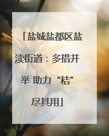 盐城盐都区盐渎街道：多措并举 助力“秸”尽其用