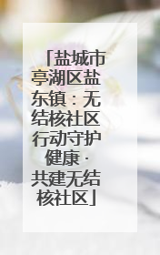 盐城市亭湖区盐东镇：无结核社区行动守护健康 ·共建无结核社区