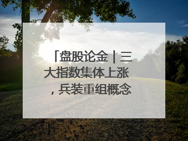 盘股论金｜三大指数集体上涨，兵装重组概念遥遥领先