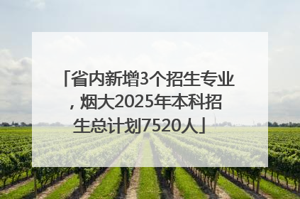 省内新增3个招生专业，烟大2025年本科招生总计划7520人