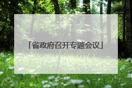 省政府召开专题会议