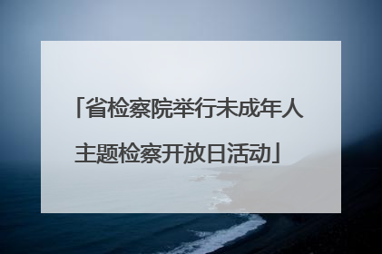 省检察院举行未成年人主题检察开放日活动