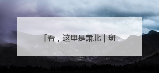 看，这里是肃北｜斑头雁宝宝出窝觅食