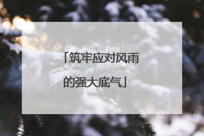 筑牢应对风雨的强大底气
