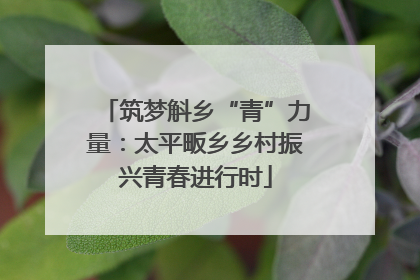 筑梦斛乡“青”力量：太平畈乡乡村振兴青春进行时