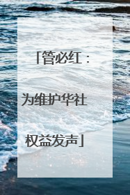 管必红：为维护华社权益发声