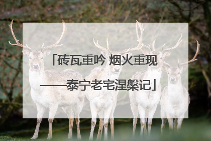 砖瓦重吟 烟火重现——泰宁老宅涅槃记