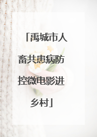 禹城市人畜共患病防控微电影进乡村