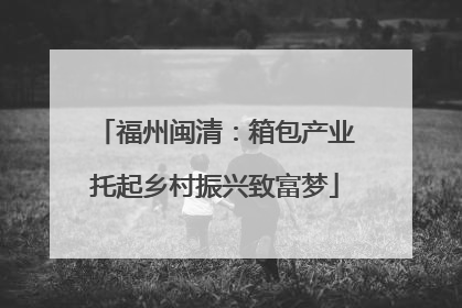 福州闽清：箱包产业托起乡村振兴致富梦