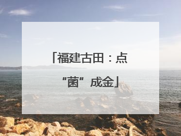 福建古田：点“菌”成金